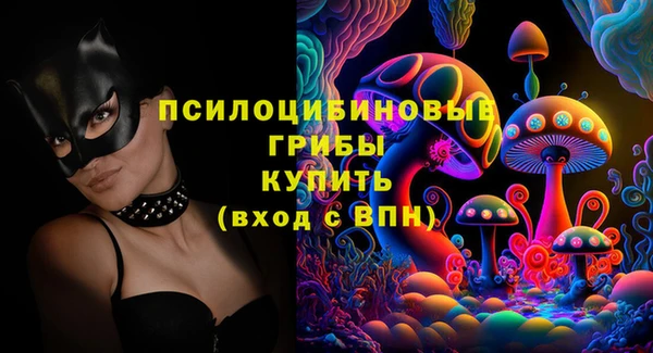 твердый Богородск
