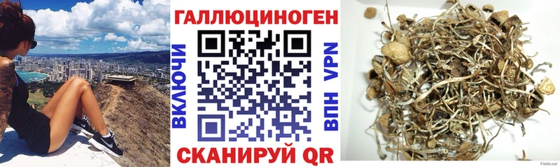 Галлюциногенные грибы Cubensis  Мензелинск 